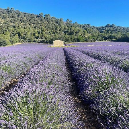 Coeur De Provence Apartman Gréoux-les-Bains Kültér fotó
