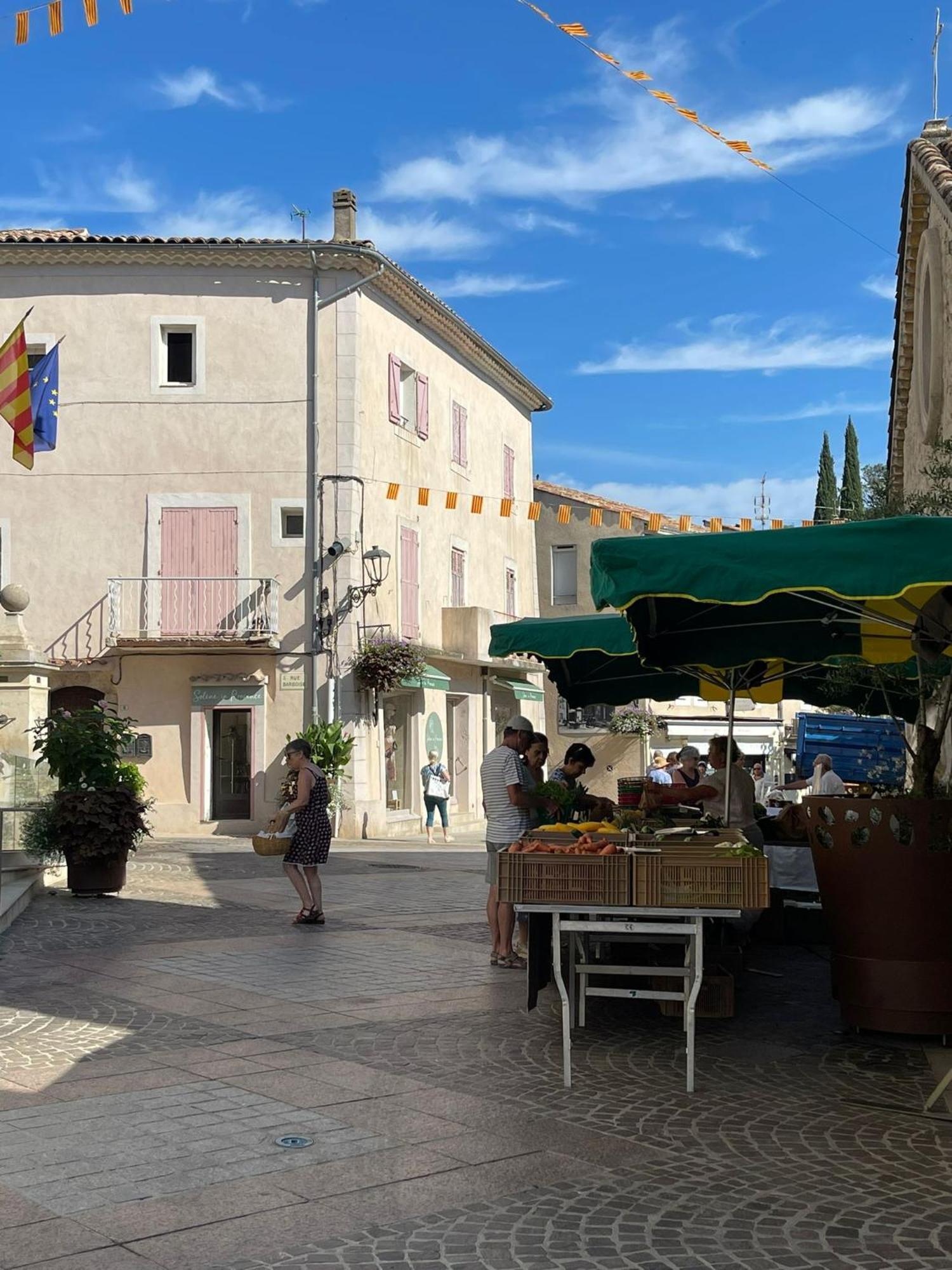 Coeur De Provence Apartman Gréoux-les-Bains Kültér fotó